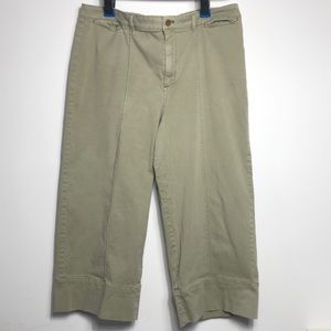 Anthropologie Plus 18w Chino Pants